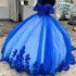 2024 Blue Princess Ball Gown Quinceanera Dress Lace Appliques Beads Tull Sweet 16 Dress vestidos Birthday Party Gown