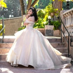 2024 Ivory Shiny Quinceanera Dresses Sweetheart Applique Tull Birthday Ball Gown Sweet 16 Dress Vestidos De 15 Anos Quinceanera