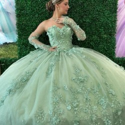 3D Flowers Floral Appliques Lace Sage Green Quinceanera Dresses Ball Gown Off The Shoulder Corset Vestidos De XV 15 Anos