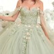 3D Flowers Sage Green Princess Ball Gown Quinceanera Dress Applique Lace With Cape Sweet 16 Dress vestidos Birthday Party Gown