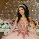 Beaded Pink Ball Gown Quinceanera Dresses Appliques Lace Long Sleeved Sweet 16 Dress Pageant Gowns vestido de 15 anos