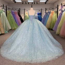 Quinceanera Dresses Modern Women Party Dress Organza Ball Gown Sweetheart Bridal Dress 2025 Sequined