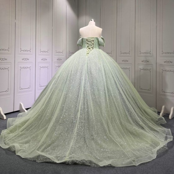 Sage Quinceanera Dress Sweet 15 Evening Dress Crystal Sleeveless Ball Gown Beading Vestido De Quinceanera