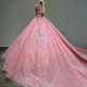 Short Sleeves Quinceanera Dresses for Girls Ball Gown Scoop Tulle Floor Length Promotion Vestido De 15 Anos Customised