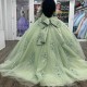 Sweetheart Sage Green Quinceanera Dresses For Sweet 16 Girls Beads Appliques Feather Princess Ball Gowns Tull 15 Vestidos