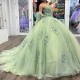 Sweetheart Sage Green Quinceanera Dresses For Sweet 16 Girls Beads Appliques Feather Princess Ball Gowns Tull 15 Vestidos