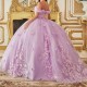 2024 Lavender Shiny Ball Gown Quinceanera Dresses 3DFlowers Applique Beading Sweet 15 16 Dress Corset vestidos de 15 anos