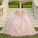 2024 Light Pink Shiny 3D Floral Appliques Quinceanera Dresses Ball Gown Bride Robe Bridal Dress Vestidos 15 De Novia Sweet 16