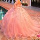 2024 Pink Shiny Quinceanera Dress Ball Gown Long Sleeve Applique Lace Beads Vestidos De 15 Anos Sweet 16 Birthday Party Pageant