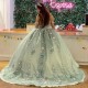 3D Flowers Sage Green Shiny Princess Quinceanera Dresses Crystal Prom Birthday Sweet 16 Dress Lace-up Corset Vestidos De 15 Anos