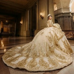 Long Sleeves Luxury Tulle Ball Gown Champagne Quinceanera Dresses Gold Appliques Beads Tull Vestido De 15 Anos