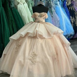 Off Shoulder Light Champagne Shiny Quinceanera Dress Prom Dress Floral Applique Princess Dress Lace Sweet 15 Year Old Party Dress