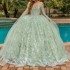 Off The Shoulder Princess Sage Green Quinceanera Dresses Ball Gown Classic Bow Lace Beads Sweet 16 Dress Vestidos 15 De Novia