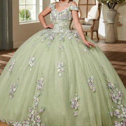 Off The Shoulder Sage Green Princess Quinceanera Dress Ball Gown Classic Appliqué Lace Beads Tull Sweet 16 Dress Vestido De 15