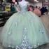 Shiny Sage Green Quinceanera Dresses Ball Gown Floral Applique Lace Flower Sweet 16 Dresses Birthday Party Prom vestidos de 15