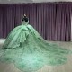 Spaghetti Strap Sage Green Quinceanera Dresses Applique Embroidery Beading Party Dress Lace Up Court Train Ball Gown 2024