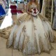 Sparkly O-Neck Ball Gown Quinceanera Dresses Long Sleeves Sequined Gold Appliques Crystal lace-up Sweet 16 Vestidos De 15 Anos