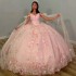 Sparkly Pink Crystal Appliques 3DFlower Quinceanera Dresses Ball Gown Sleeveless Beading Ruffles Corset For Sweet 15 Girls