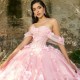 Sweetheart Pink Sexy Quinceanera Dress Sweet Beading Appliques 3D Flower Tull 16Year Old Girl Princess Birthday Party Ball Dress