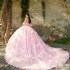 Sweetheart Pink Sexy Quinceanera Dress Sweet Beading Appliques 3D Flower Tull 16Year Old Girl Princess Birthday Party Ball Dress