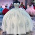 Sweetheart Sage Green Shiny Quinceanera Dresses Ball Gown Applique Beads Tulle Floral Puffy Mexican Sweet 16 Dresses 15 Anos