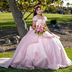 Tulle Pink Ball Gown Princess Quinceanera Dresses Applique Vestidos De 15 Anos Quinceaneras Sweet 16 Birthday Party