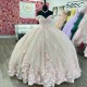 Tulle Pink Shiny Quinceanera Dress Princess Prom Gown Appliques Flower Beads Sweet 16 Dress Vestidos De 15 Anos